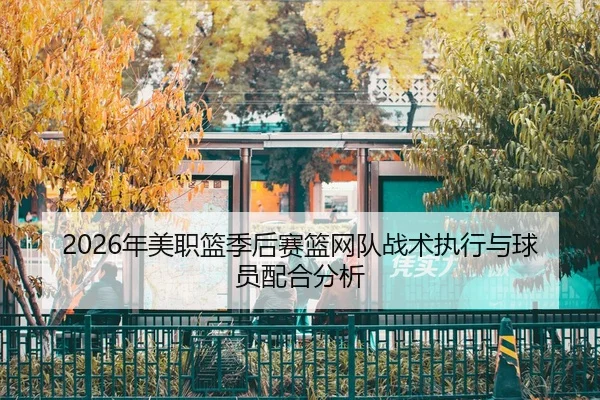 nian-mei-zhi-lan-ji-hou-sai-lan-wang-dui-zhan-shu-zhi-xing-yu-qiu-yuan-pei-he-fen-xi-2-448.jpg